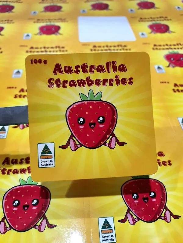 ราคาพิมพ์ สติ๊กเกอร์ Preview